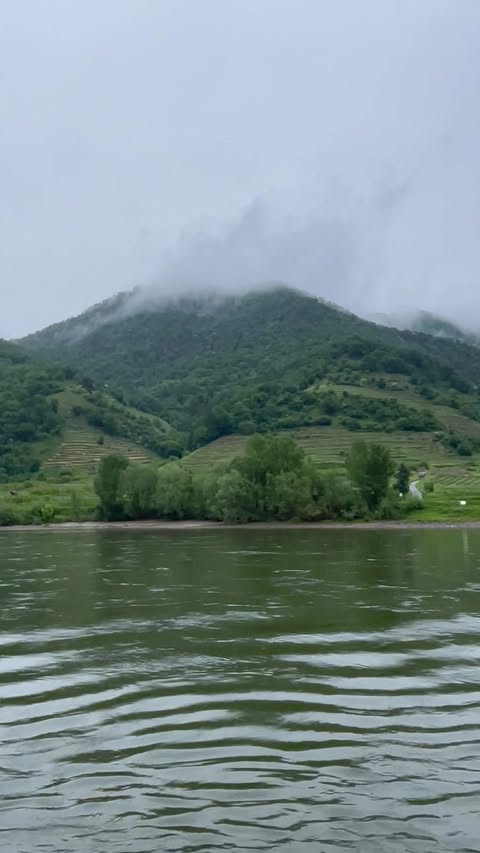 Viking Var on the Danube