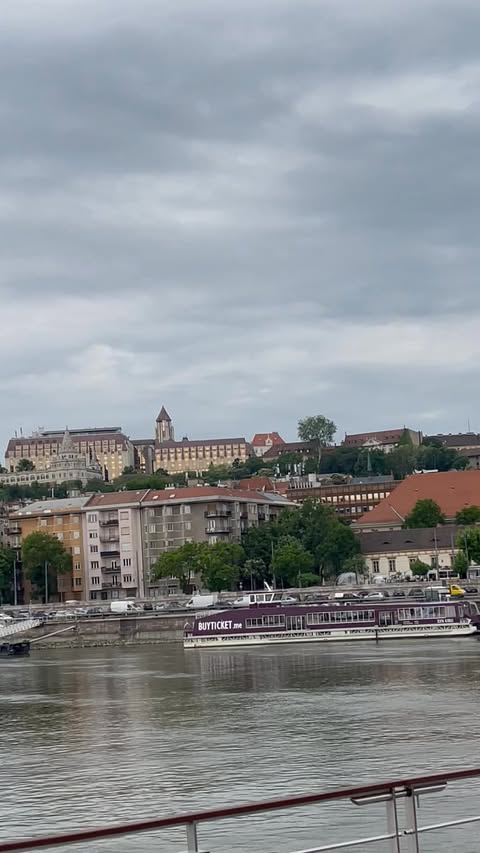 Viking Var on the Danube