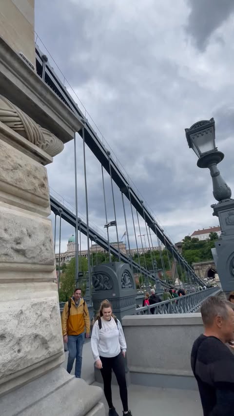 Viking Var on the Danube