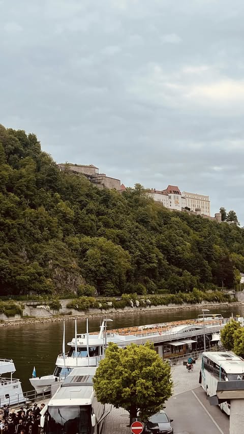 Viking Var on the Danube
