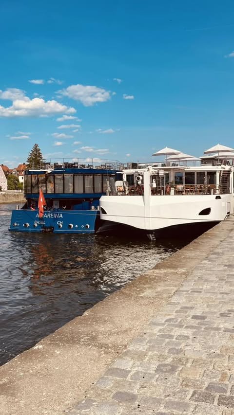 Viking Var on the Danube
