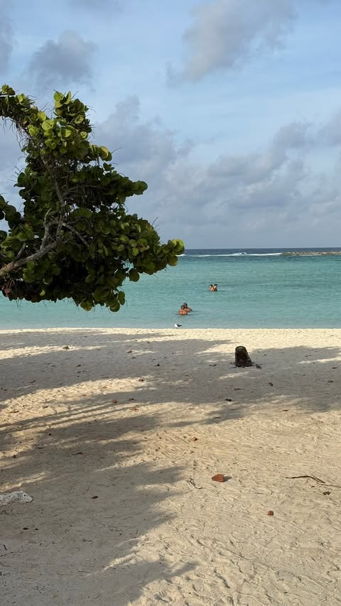 Secrets Baby Beach Aruba