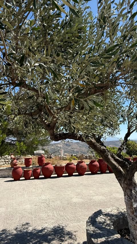 Greece Celestyal Cruises