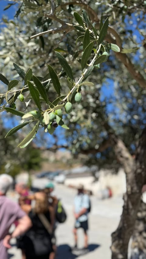 Greece Celestyal Cruises